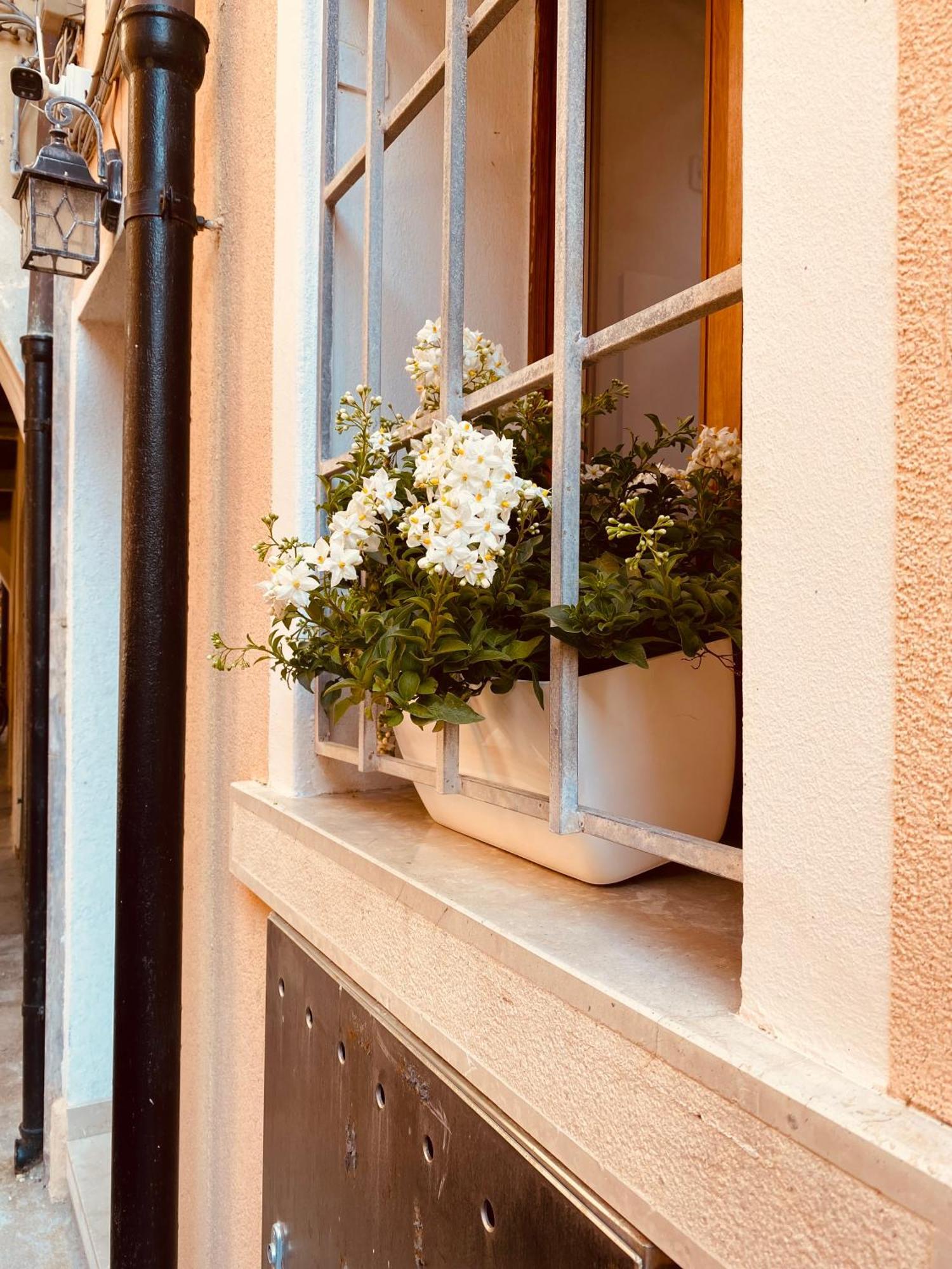 Casabella Chioggia Casa Indipendente Con Corte ภายนอก รูปภาพ